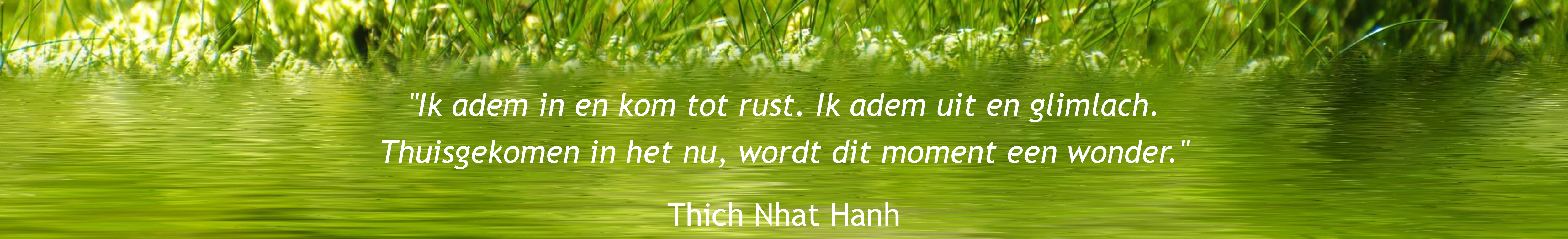 Ik adem in en kom tot rust. Ik adem uit en glimlach. Thuisgekomen in het nu, wordt dit moment een wonder. Thich Nhat Hanh